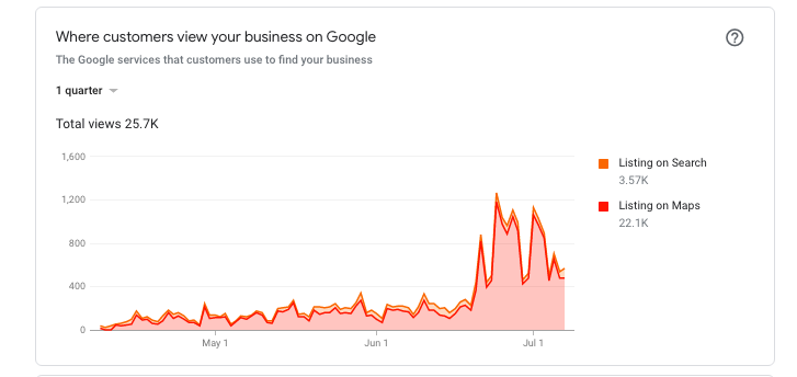 Google My Business Results For Blue Turtle Ocean City